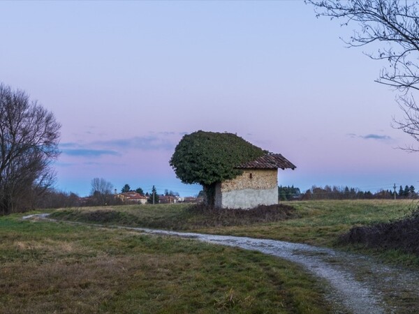 Immagine Briosco